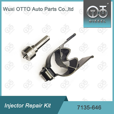 7135 - 646 Delphi Injector Repair Kit For Injector 28232251