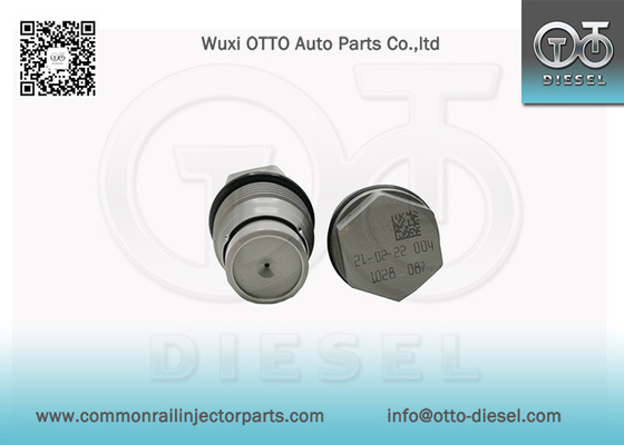1110010028 Bosch Injector Parts