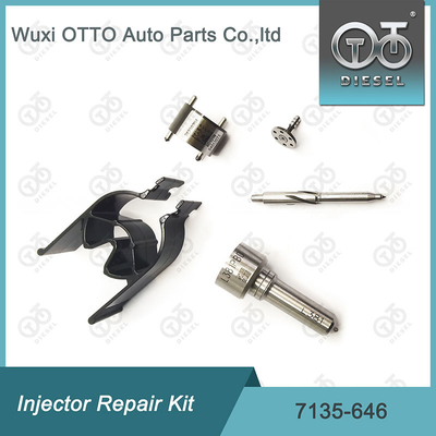 7135 - 646 Delphi Injector Repair Kit For Injector 28232251