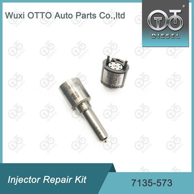 7135-573 Delphi Injector Repait Kit For Injectors 28229873